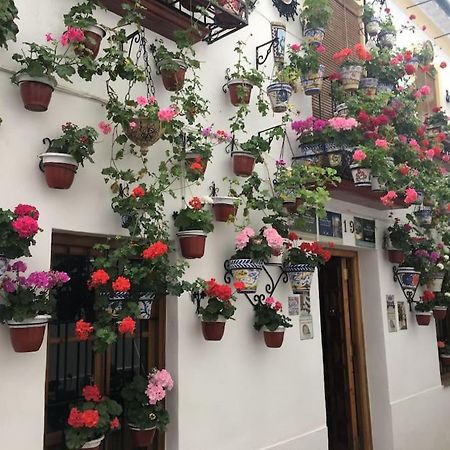 Apartamento El Rincon De La Verdad Córdoba Exteriör bild