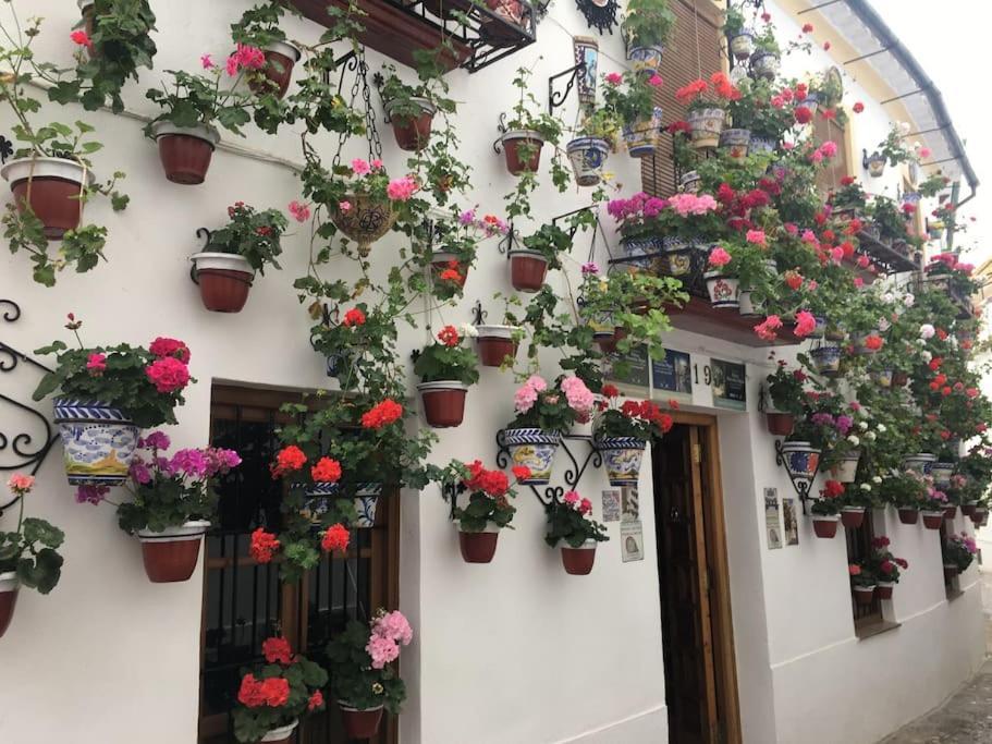 Apartamento El Rincon De La Verdad Córdoba Exteriör bild