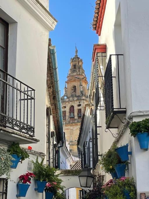 Apartamento El Rincon De La Verdad Córdoba Exteriör bild